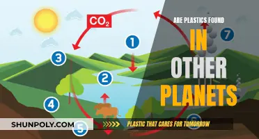 Plastic Pollution: Is It Reaching Other Planets?