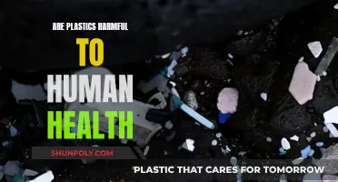 Plastics' Health Impact: Harmful or Harmless?