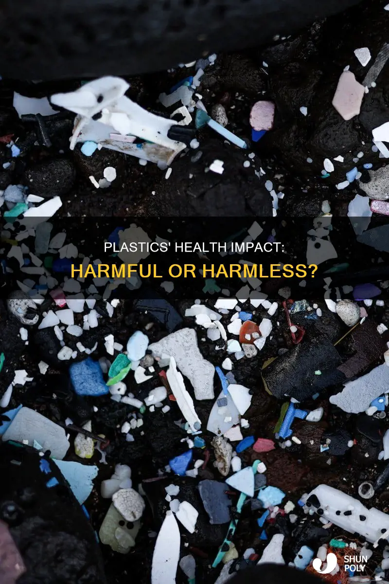are plastics harmful to human health