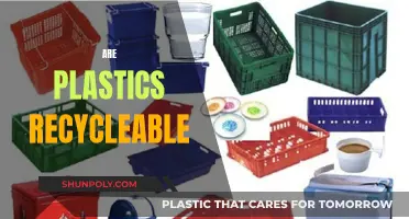 Unraveling the Plastic Recycling Mystery: Fact or Fiction?