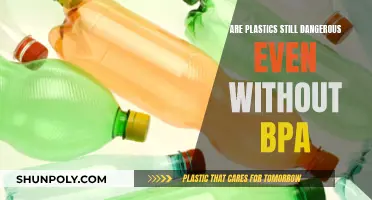 Plastics Without BPA: Are They Safe or Dangerous?