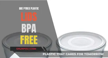 Pyrex Plastic Lids: Are They BPA-Free?
