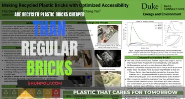 Cost-Effective Building: Recycled Plastic Bricks vs. Regular Bricks