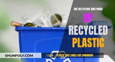 Unveiling the Truth: Are Recycling Bins Recycled?