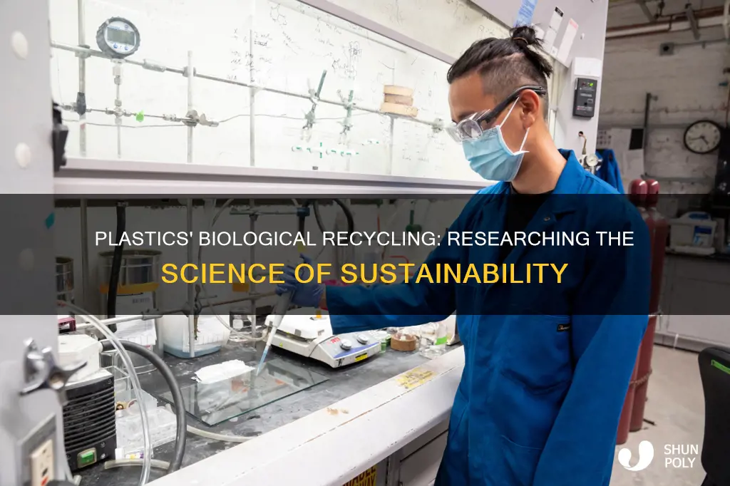 are research plastics recycled biology