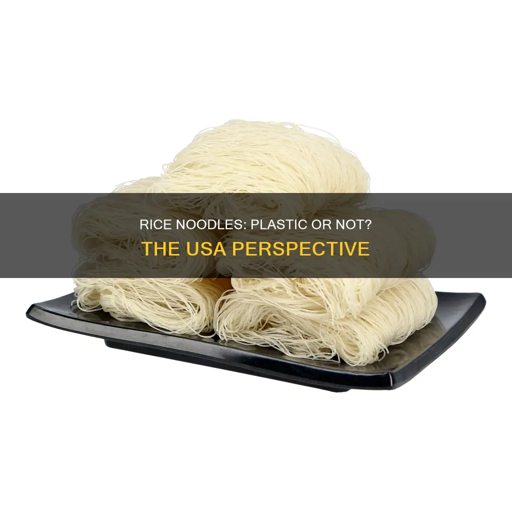are rice noodles plastic in usa