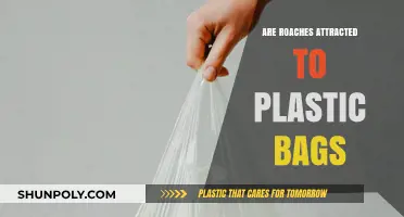 How Plastic Bags Attract Cockroaches: An Unlikely Truth