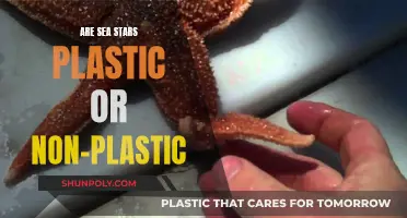 Sea Stars: Plastic or Natural?