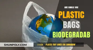 Plastic Bags: Biodegradable or Environmental Disaster?