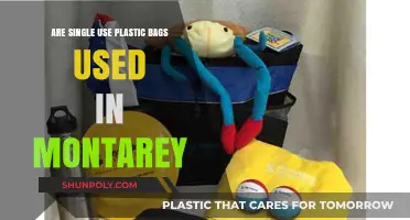 Single-Use Plastic Bags: Monterey's Dark Secret?