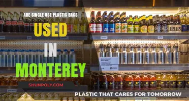 Monterey's Single-Use Plastic Bag Ban: Effective Solution?