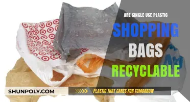 The Plastic Bag Paradox: Are They Recyclable?