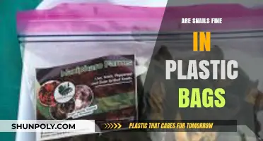 Snails and Plastic Bags: A Safe Haven or Prison?
