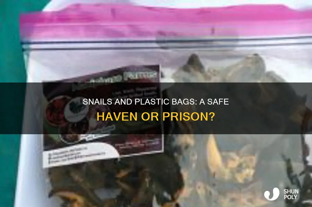 are snails fine in plastic bags