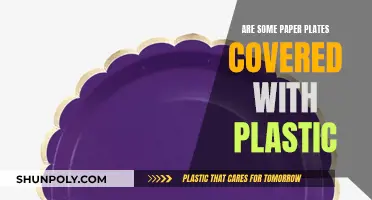 Plastic-Coated Paper Plates: What's the Deal?