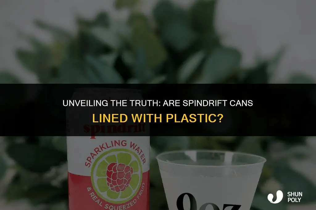 are spindrift cans lined with plastic