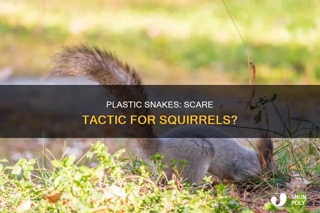 are squirrels afraid of plastic snakes