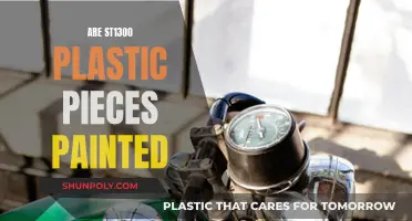 Painting Plastic Pieces: ST1300's Customization Options