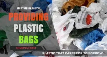 The Plastic Bag Ban: Are California Stores Complying?
