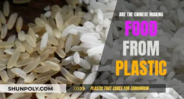 Plastic Food: China's Fake Food Industry
