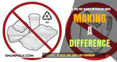 Cutting Plastic Bags: Are We Making Progress?
