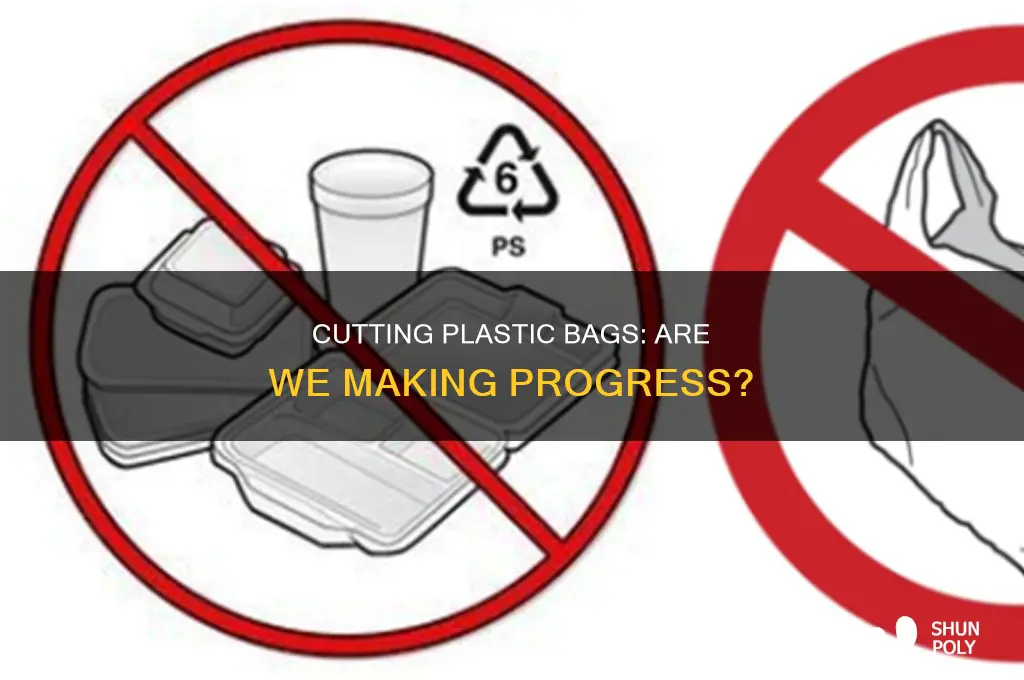 are the cut backs on plastic bags making a difference
