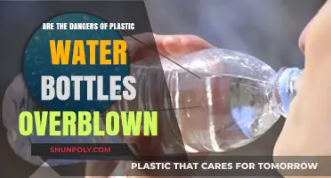 Are Plastic Water Bottles Really as Harmful as We Think?