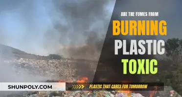 Burning Plastic: Toxic Fumes and Health Hazards