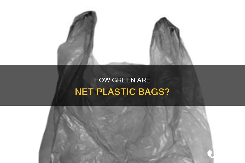 are the net plastic bags recyclable