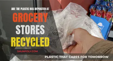 Unveiling the Fate of Plastic Bags: Grocery Store Recycling Reality Check