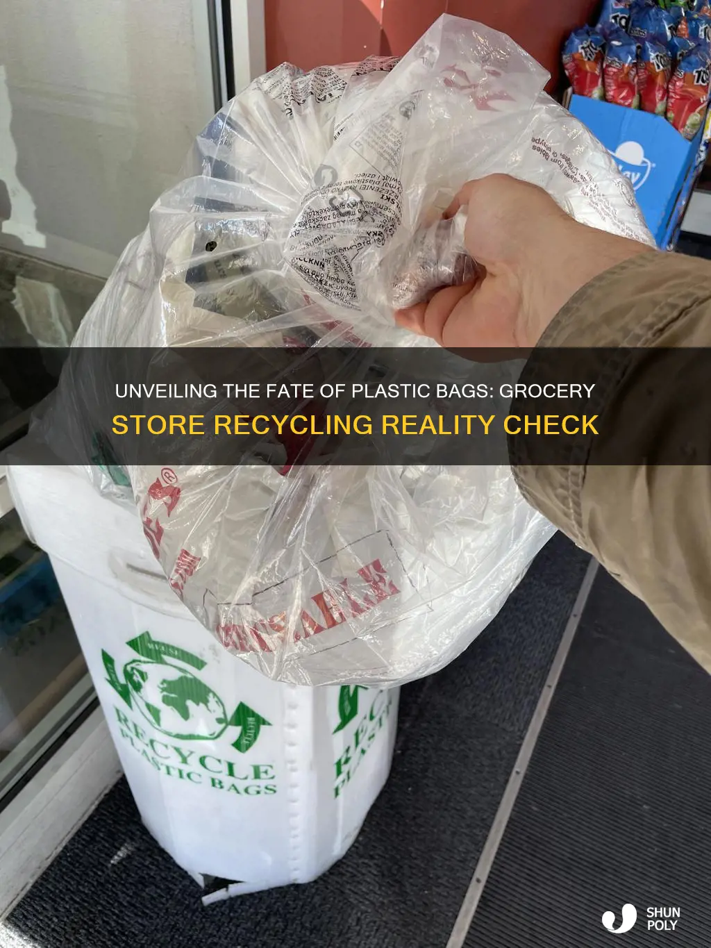 are the plastic bgs deposited at grocery stores recycled