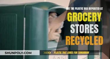 Grocery Store Plastic Bags: Are They Really Recycled?
