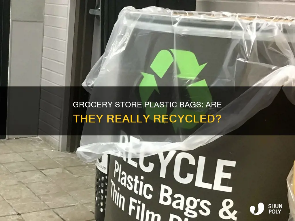 are the plastic bgs deposited at grocery stores recycled