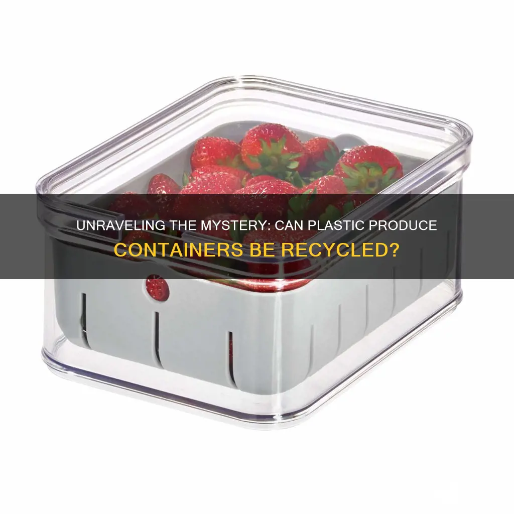 are the plastic containers in the produce recyclable