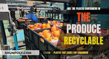 Are Plastic Produce Containers Recyclable?