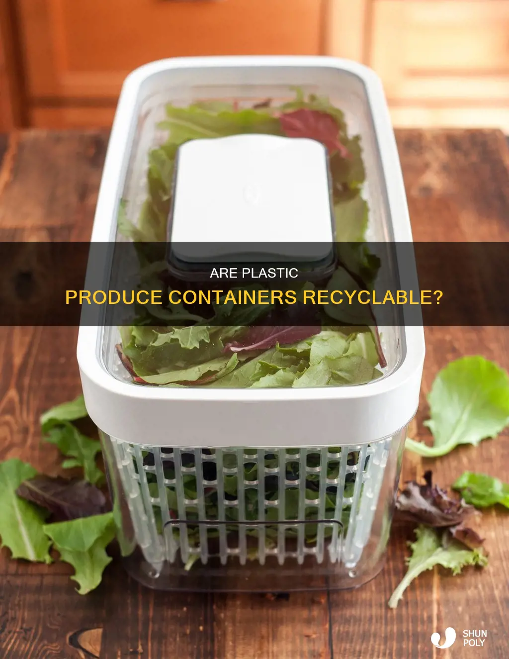 are the plastic containers in the produce recyclable
