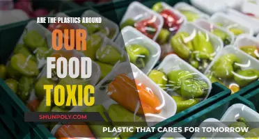 Plastics in Our Food: Toxic Threat or Safe?