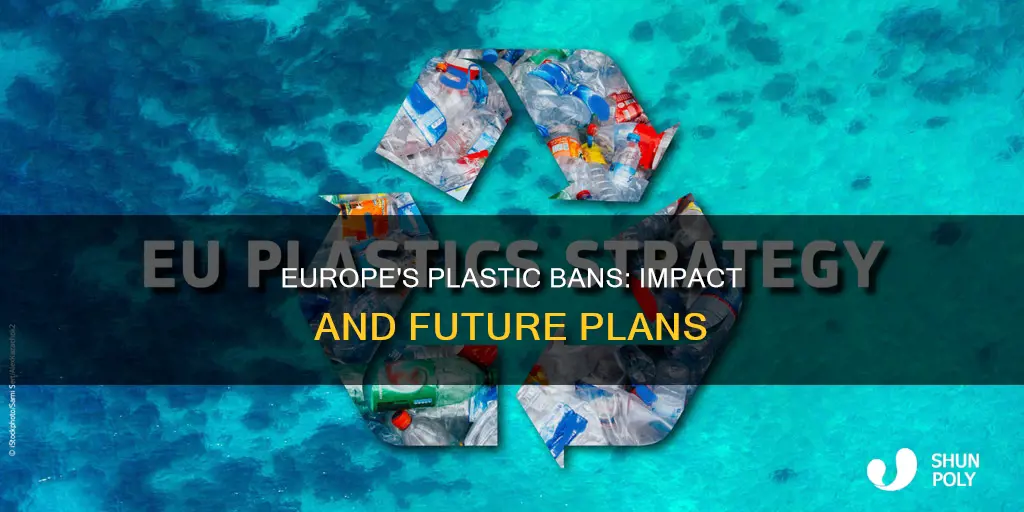 are their plastic bans in europe
