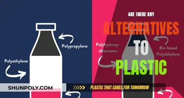 Exploring Viable Alternatives to Plastic: Sustainable Future Options