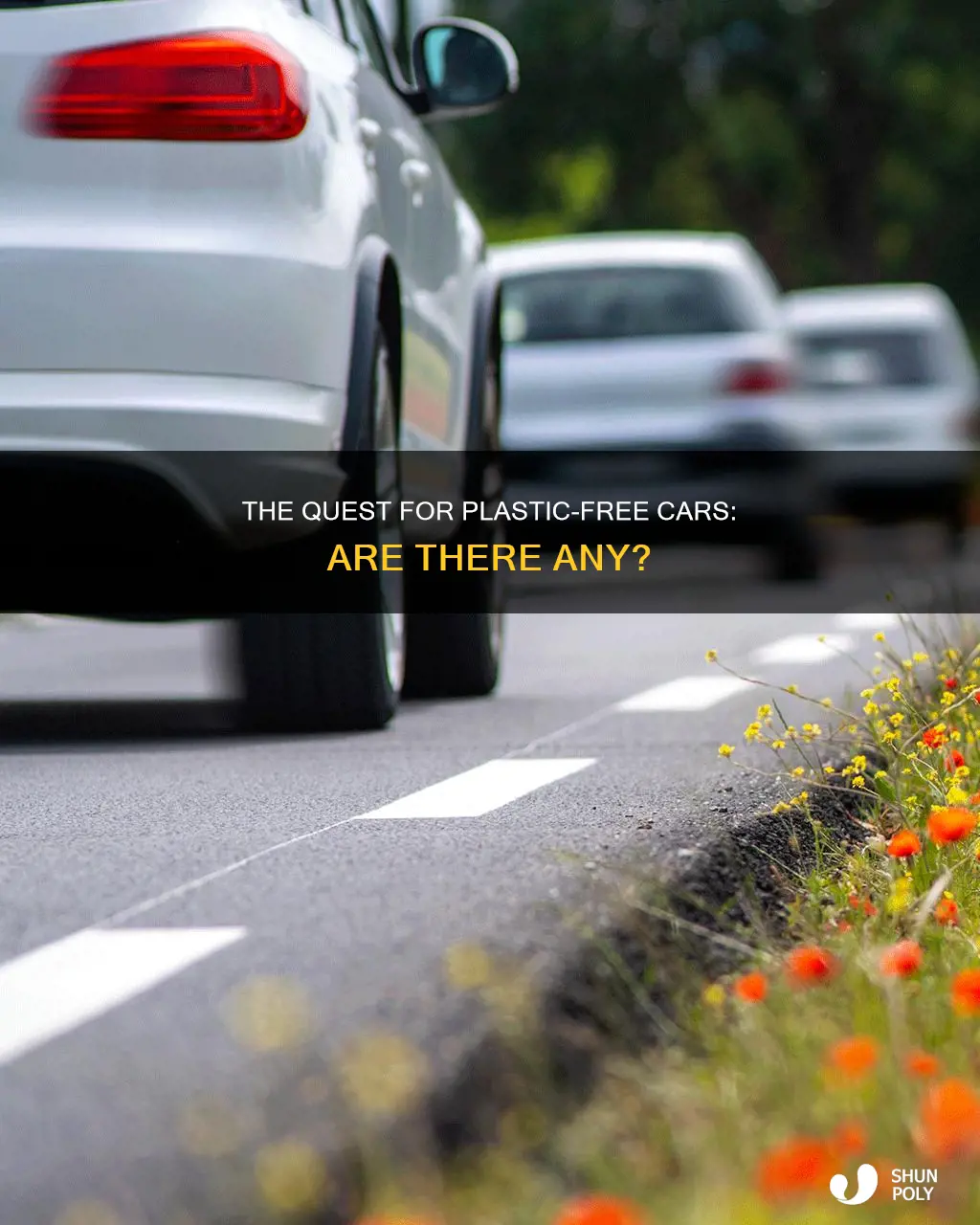 are there any cars with no plastic