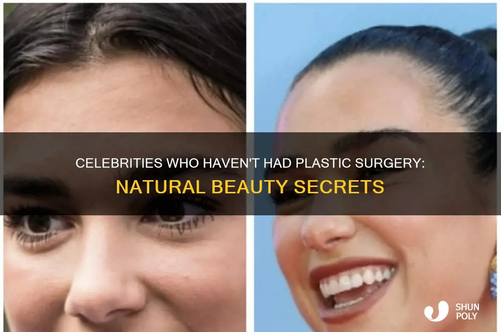 are there any celebrities who haven t had plastic surgery