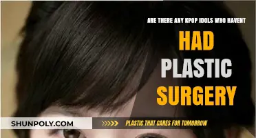 Natural Beauty in K-Pop: Idols Without Plastic Surgery?