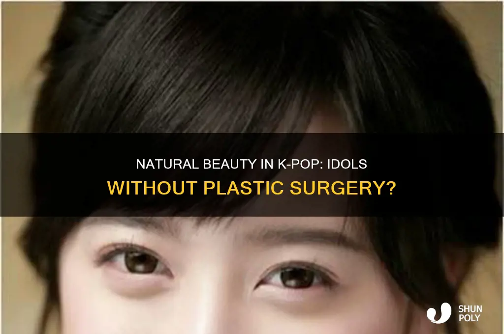 are there any kpop idols who havent had plastic surgery
