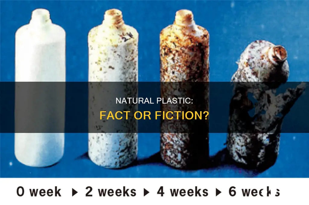 are there any natural materials in plastic bags