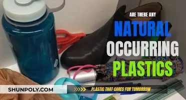 Natural Plastics: Do They Exist?