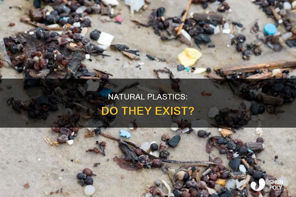 are there any natural occurring plastics