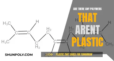 The World of Non-Plastic Polymers: Exploring Alternatives