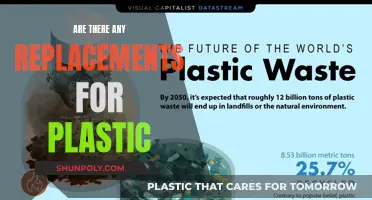The Quest for Plastic Alternatives: Sustainable Solutions for Tomorrow
