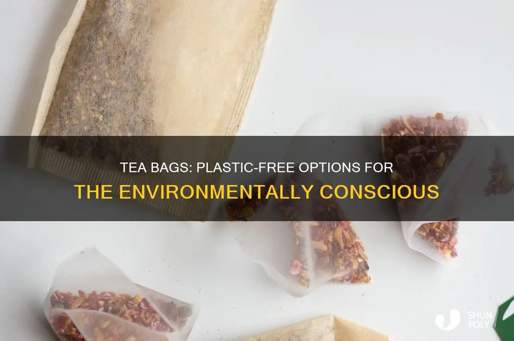 are there any tea bags without plastic