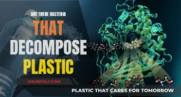 Bacteria's Plastic Decomposition: Nature's Solution to Pollution